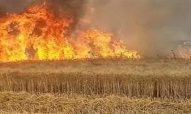 ضبط 3 أشخاص لقيامهم باحراق أرض زراعية لخلافات حول الميراث بكفر الشيخ 