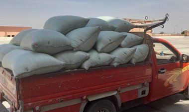 محافظ المنيا يعلن بدء موسم توريد القمح لـ42 موقعًا تخزينيًا