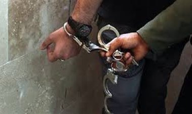 القبض على صاحب فيديو بيع الطيور المذبوحة ببولاق الدكرور 