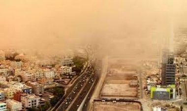 الكويت.. مقبرة للطيور في ظل حرارة تفوق 50 درجة مئوية