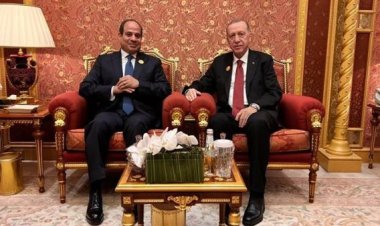 وصول الرئيس التركى إلى مطار القاهرة للقاء الرئيس السيسي