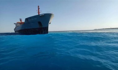 ياسمين فؤاد: استمرار التحفظ على السفينة الدولية الجانحة بعد خروجها سالمة