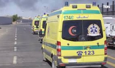 إصابة 6 أشخاص في حادثين سير بأطفيح وطريق الواحات 