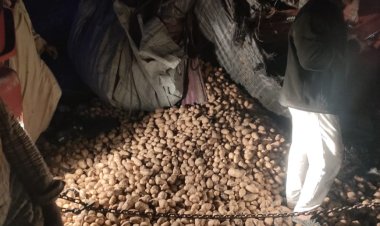 انتشال جثتين بعد حادث تصادم مروع بطريق الواحات البحرية (صور)