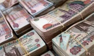 ضبط 11 مليون جنيه حصيلة قضايا اتجار بالنقد الأجنبي خلال 24 ساعة