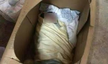 القبض على سائق وزوجته لقيامهم بإلقاء طفلهم الرضيع أمام مسجد بأطفيح