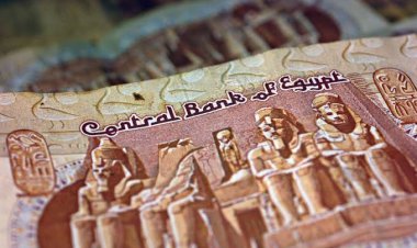 بالزيادة الجديدة.. بدء صرف مرتبات شهر مارس 2024