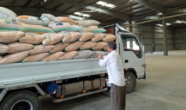 مواقع استلام القمح تفتح أبوابها أمام المزارعين خلال إجازة شم النسيم