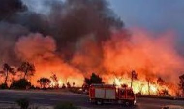 فقدان أكثر من  17 ألف هكتار من الغطاء النباتي في حرائق كولومبيا