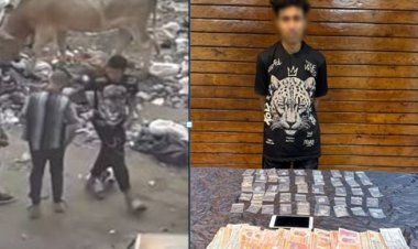 فيديو يقود الشرطة لضبط ديلر مخدرات في شبرا الخيمة 