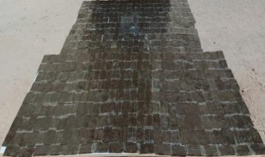 سقوط 3 عناصر إجرامية بجنوب سيناء والإسكندرية بحوزتهم مخدر الحشيش بـ 12 مليون