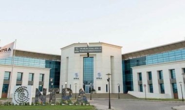 إحالة شركات المحمول الأربع للنيابة بسبب خطوط مسجلة بأسماء مستخدمين دون علمهم