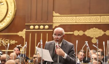 «برلماني»: قرار وقف إطلاق النار في غزة خطوة إيجابية لإيقاف الحرب دائماً