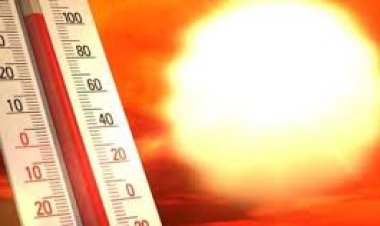 بالتزامن مع ارتفاع درجات الحرارة.. وباء جديد ينذر بالانتشار في راجستان