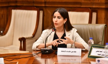 «برلمانية» تُطالب بضرورة تشكيل حكومة سياسية تلبي تطلعات الشعب المصري