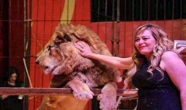 أشهر مدربة أسود في مصر.. فاتن الحلو تغادر المستشفى وتعود إلى دار إقامة كبار الفنانين