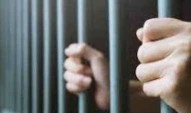 «أمي» ينتحل صفة طبيب تجميل  بالعراق