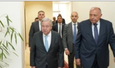 وزير الخارجية يشيد بموقف جوتيريش تجاه الأوضاع في غزة