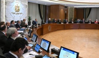 مجلس الوزراء يحدد سعر توريد أردب القمح لموسم ٢٤/ ٢٠٢٥