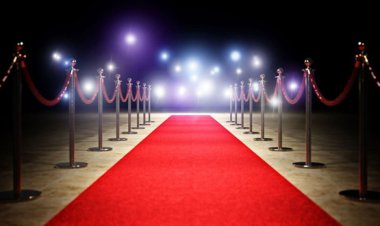 هالة الدمراوى تكتب ..الجمهور .. و المشهور .. و مقياس الغرور ! 