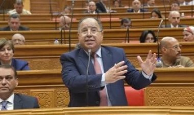 300 مليون جنيه شهريًا.. وزير المالية يكشف عن حجم إيرادات التجارة الإلكترونية في مصر