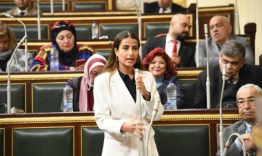 النائبة إيلاريا سمير حارص: مصر تقود ملحمة وطنية جديدة في دعم القضية الفلسطينية