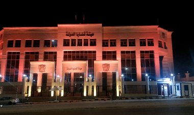 هيئة قضايا الدولة تضئ مبانيها تزامنا مع فعاليات الـ 16 يومًا لمناهضة العنف ضد المرأة"