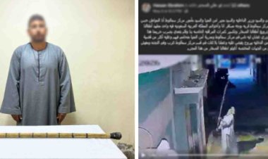 ضبط عامل حطم كاميرات مراقبة منزل بالمنيا بعصا خشبية بدعوى انتهاك الخصوصية