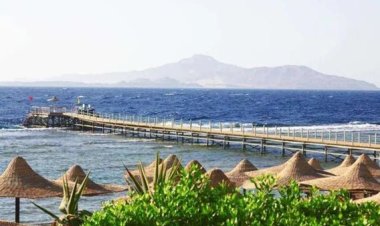 على غرار «رأس الحكمة».. وزارة قطاع الأعمال تكشف حقيقة طرح «رأس جميلة» للاستثمار