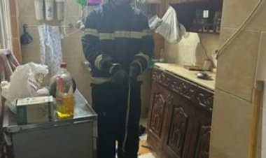 ثعبان داخل منزل بكفر الشيخ.. تدخل أمني سريع ينقذ أسرة من الخطر