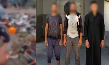 “بيعض البهايم”… القبض على  3 أشخاص بالتعدى على "كلب" فى الدقهلية 