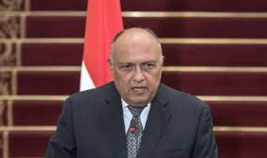 وزير الخارجية يشدد على ضرورة معالجة الأوضاع في فلسطين