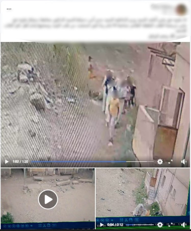 الداخلية تكشف ملابسات فيديو الاعتداء على طفلة في دمياط وتضبط المتورطين