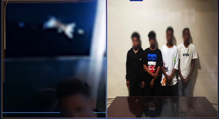 القبض على المتهمين بإلقاء قطة جائعة فى النيل