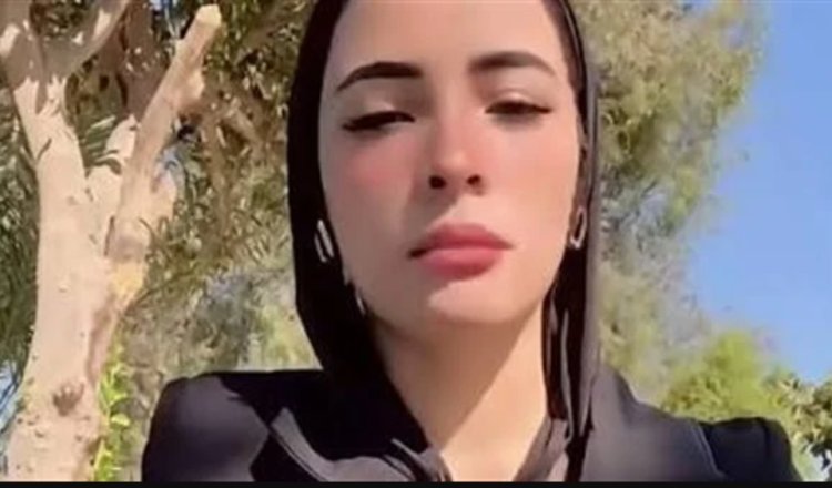 محامي دينا عزت بعد القبض عليها بتهمة نشر أخبار كاذبة: من حرقة قلبها على زوجها