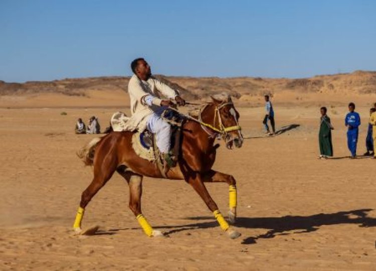 انطلاق فعاليات مهرجان الفروسية في أسوان