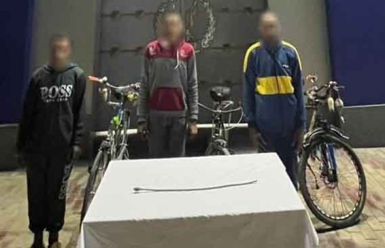 ضبط 3 أشخاص التحرش والاعتداء على فتاة بالغربية باستخدام “عصا بلاستيكية ”