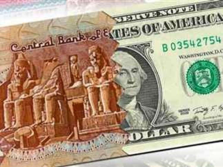 توقعات بخفض قيمة الجنيه تدريجيًا من خلال «سعر الصرف المدار».. فما تأثيره على الاقتصاد المصري ؟