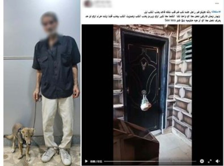 فيديو التعدي على كلب داخل شقة بإمبابة يقود إلى ضبط المتهم