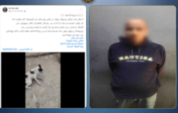 القبض على المتهم ب"الاعتداء على كلب" بالبساتين