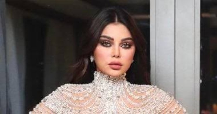 هيفاء وهبي تتقدم ببلاغات للنائب العام بعد تداول فيديوهات مسيئة لها