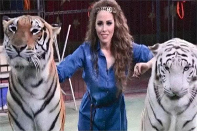 مدربة الأسود أنوسة كوتة تكشف عن تفاصيل علاقتها الخاصة بالنمور