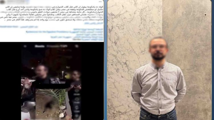 ضبط مدير شركة لاتهامه بتخدير ونقل كلاب ضالة بمدينة نصر