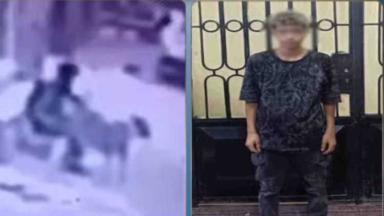 ضبط عاطل تعدى على كلب ضال بالمنوفية ووثق الواقعة فيديو