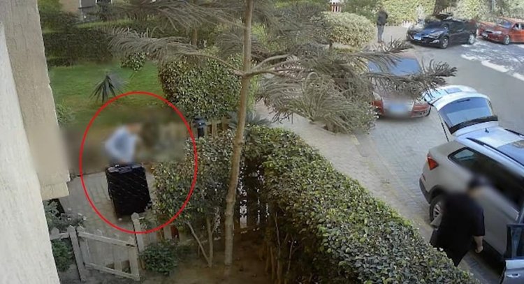 فيديو بكاميرا مراقبة يكشف سرقة أموال الدكتورة نوال الدجوي