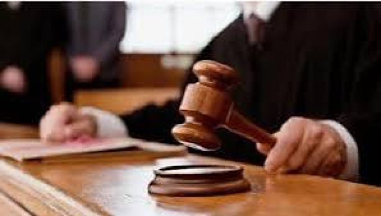 تأييد حبس سائق أوبر المتسبب في وفاة حبيبة الشماع 5 سنوات