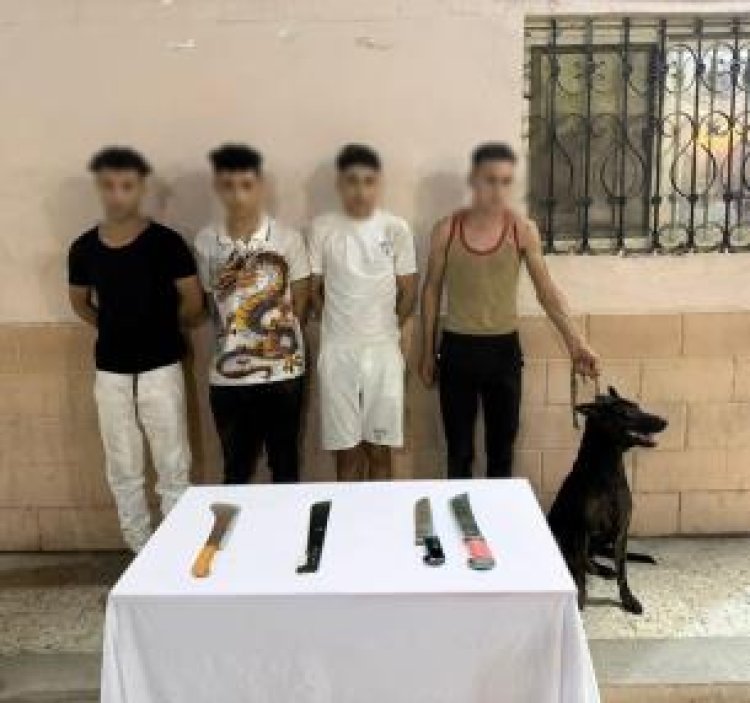 كشف ملابسات مشاجرة بالجيزة استخدم خلالها كلب وأسلحة بيضاء