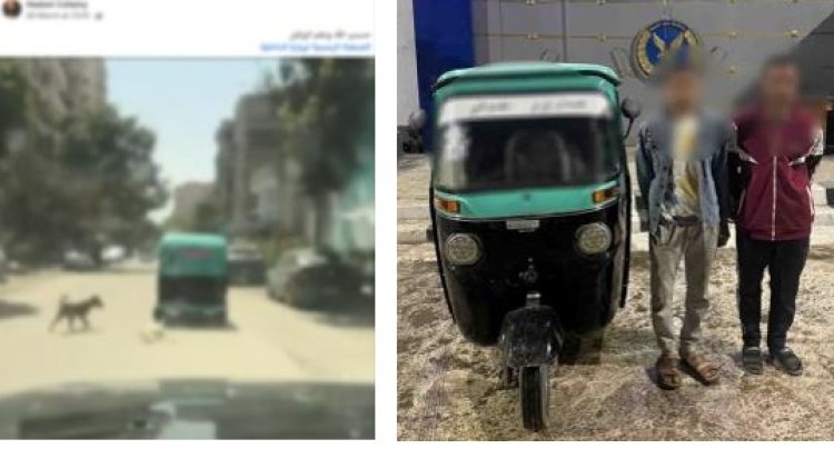 الأمن" يكشف ملابسات فيديو ربط "كلب نافق" بخلفية توك توك بالقاهرة