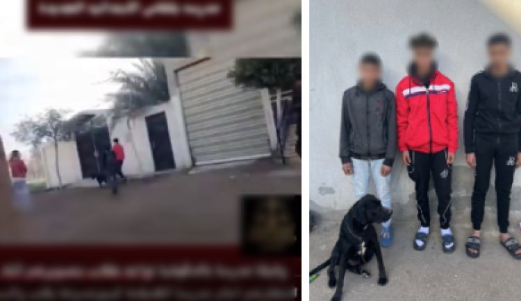 "مزحة ثقيلة".. الأمن يضبط 3 طلاب روعوا معلمتهم بـ "كلب" أمام مدرسة بالدقهلية