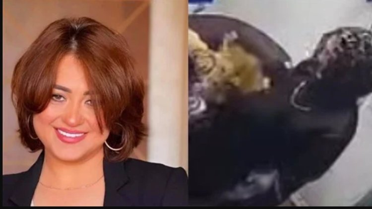 هجوم أسد على مروة عبد المنعم أثناء التصوير.. ونقلها إلى المستشفى